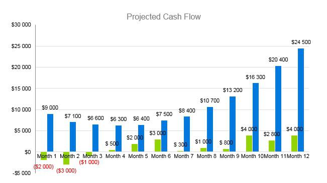 Nursing Home Business Plan - Projected Cash Flow