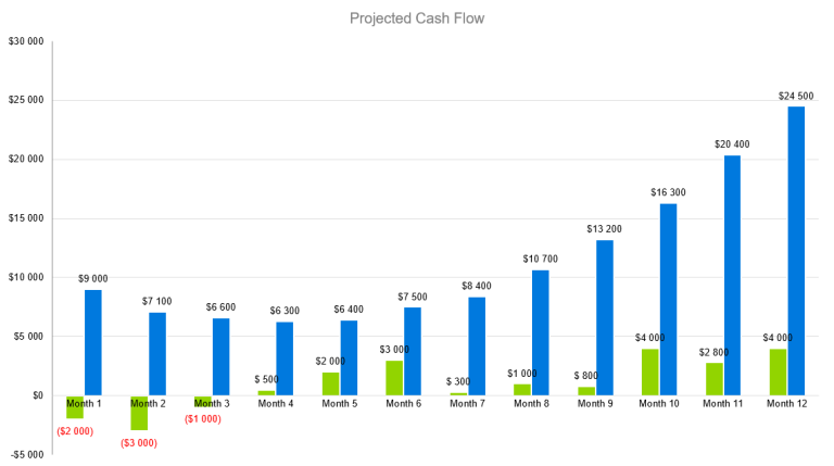 movie theater business plan - projected cash flow