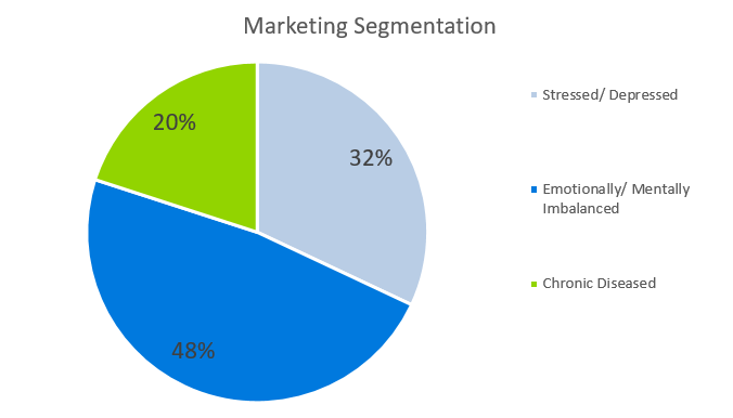 Marketing Segmentation - Reiki Business Plan Sample 