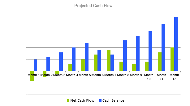 Roller Rink Business Plan - Projected Cash Flow