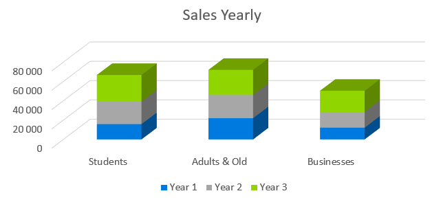 Youtube Channel Business Plan Sample - Sales Yearly