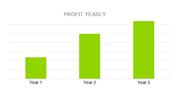 Youtube Channel Business Plan Sample - Profit Yearly