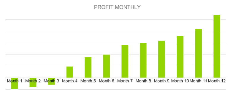 Profit Monthly - gift shop business plan
