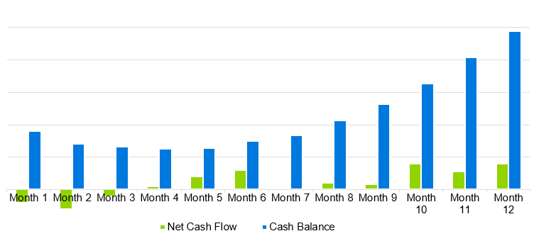 Projected Cash Flow - gift shop business plan