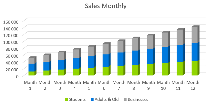 Youtube Channel Business Plan Sample - Sales Monthly