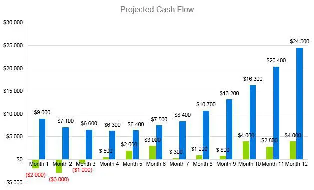 Self Storage Business Plan - Projected Cash Flow