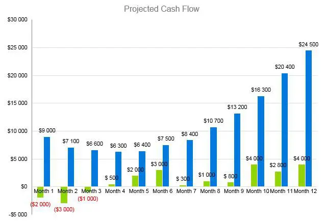 Projected Cash Flow - Sewing Business Plan Template