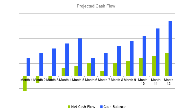 Soap Making Business Plan - Projected Cash Flow