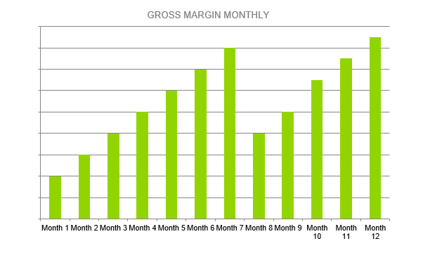 Subscription Box Business Plan - GROSS MARGIN MONTHLY