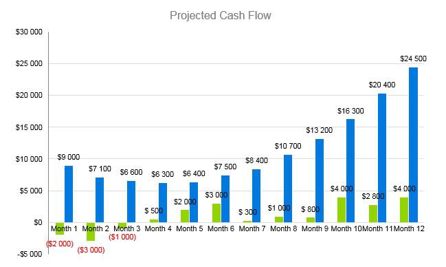 Subway Business Plan - Projected Cash Flow