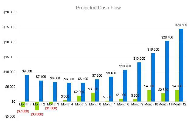Tattoo Business Plan - Projected Cash Flow