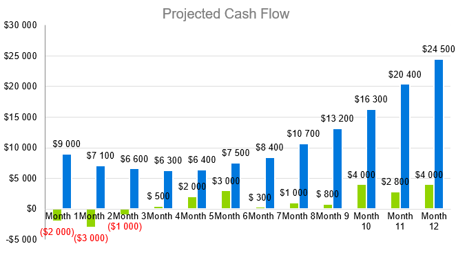 Tax Preparation Business Plan Sample - Projected Cash Flow