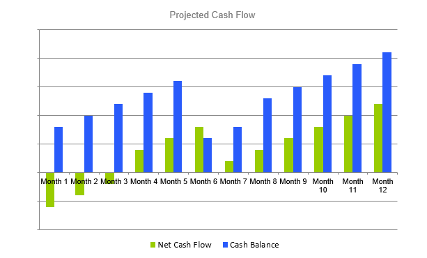 Virtual Assistant Business Plan - Projected Cash Flow