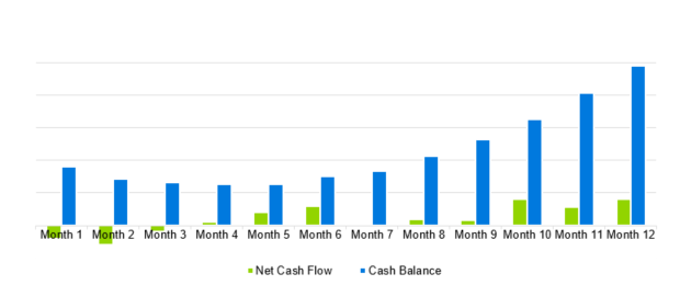 Web Hosting Business Plan - Projected Cash Flow Diagram