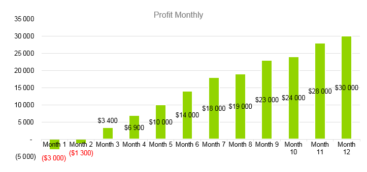 Airline Business Plan - Profit Monthly