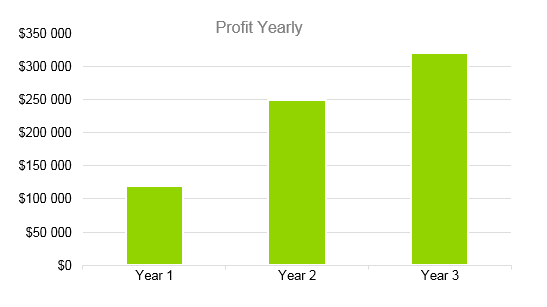 Airline Business Plan - Profit Yearly