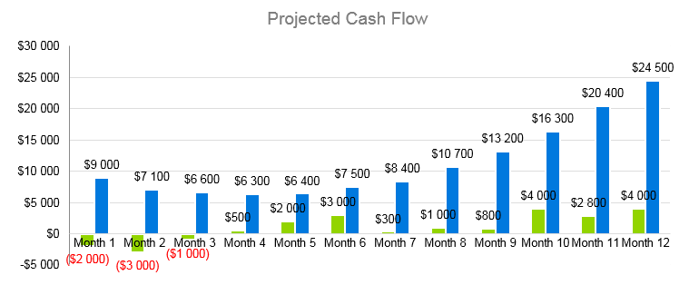 Airline Business Plan - Projected Cash Flow