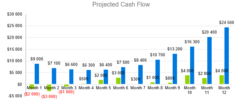 Auto Parts Store - Projected Cash Flow