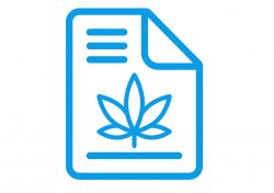 Cannabis business plan