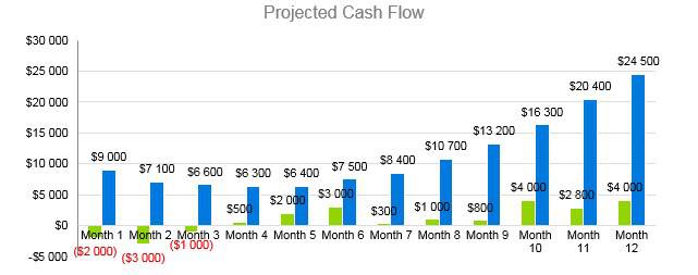 Car Accessories Business Plan - Projected Cash Flow