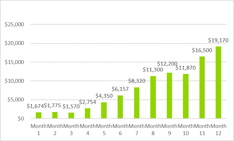 Chiropractic Business Plan - Gross Margin Monthly