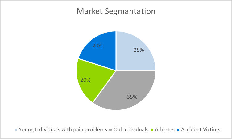 Chiropractic Business Plan - Marketing Segmentation