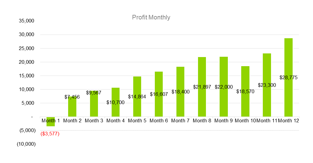 Chiropractic Business Plan - Profit Monthly