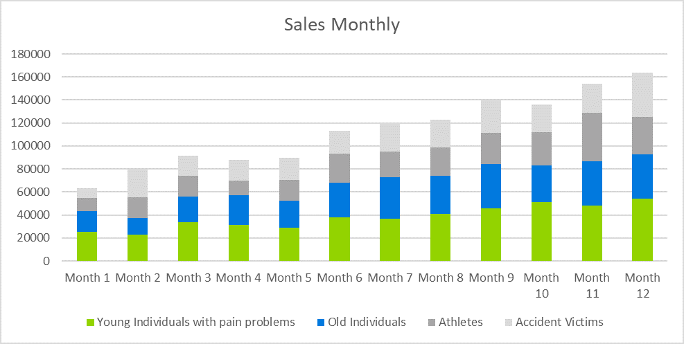 Chiropractic Business Plan - Sales Monthly