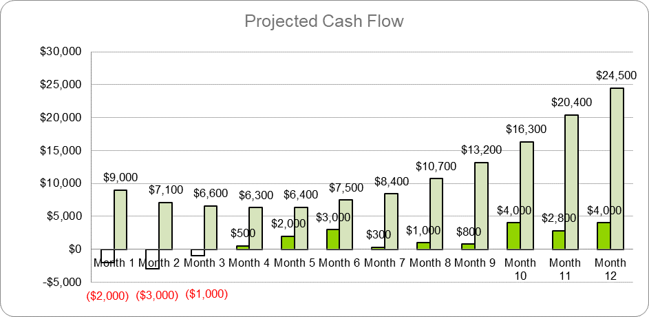 Cleaning Products Business Plan - Projected Cash Flow
