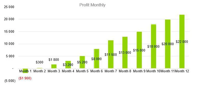 Computer Software Business Plan Sample - Profit Monthly