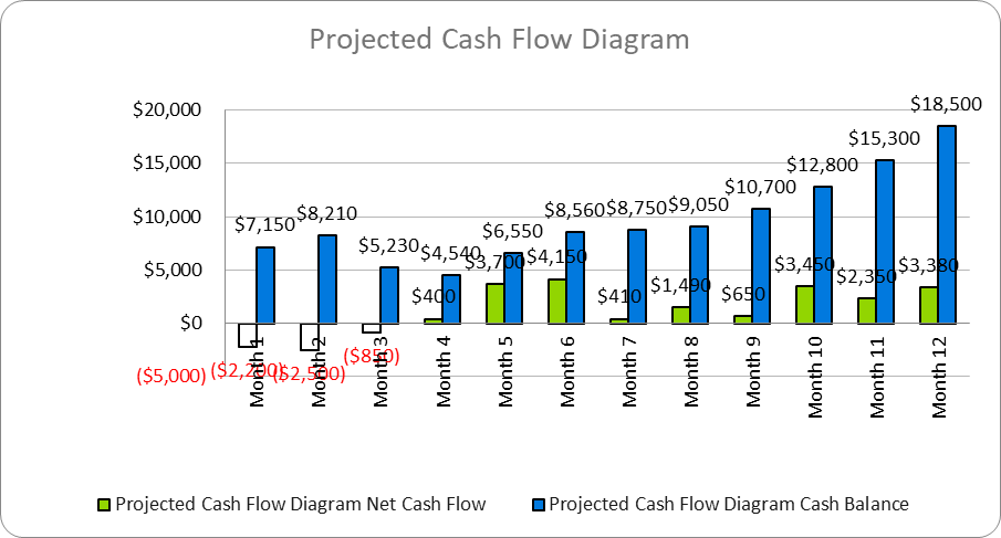 Concierge Service Business Plan - Projected Cash Flow