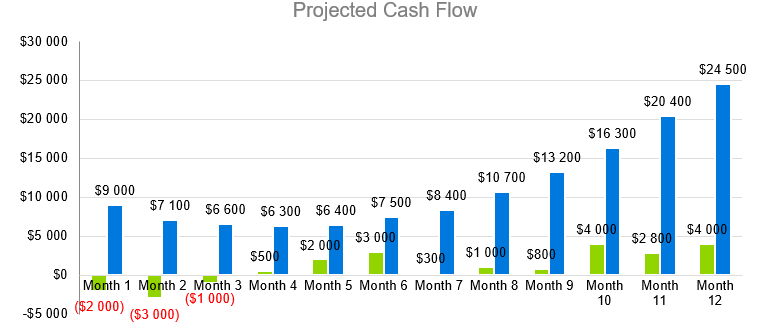 Dating Services - Projected Cash Flow