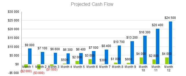 Educational Website Business Plan - Projected Cash Flow