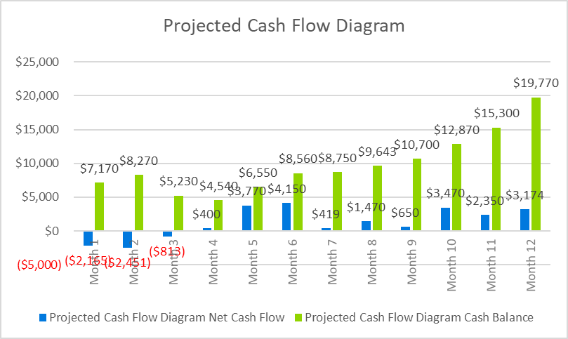 Festival business plan - Projected Cash Flow