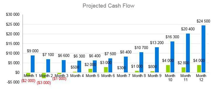 Gift Basket Business Plan - Projected Cash Flow