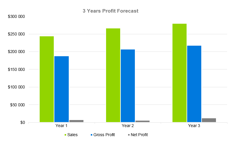 Hair Extensions Business Plan - 3 Years Profit Forecast