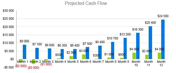 Home Inventory Business Plan - Projected Cash Flow