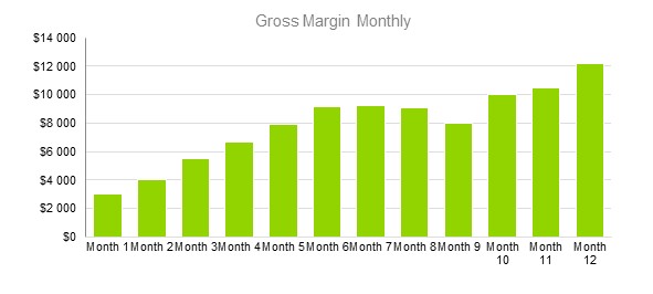 Insurance Agency Business Plan - Gross Margin Monthly