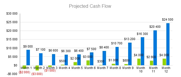 Insurance Agency Business Plan - Projected Cash Flow