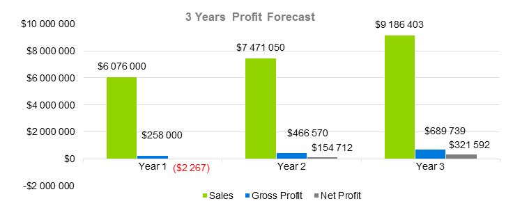 Lazer Hair Removal Business Plan - 3 Years Profit Forecast