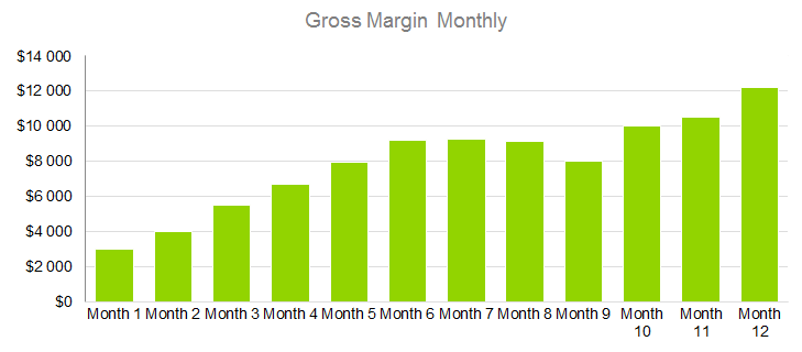 Lazer Hair Removal Business Plan - Gross Margin Monthly