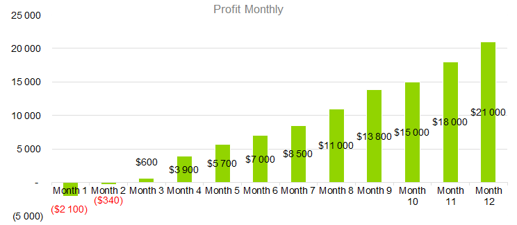 Lazer Hair Removal Business Plan - Profit Monthly