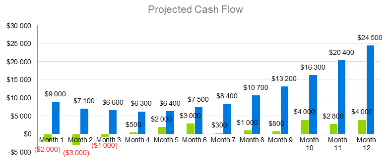 Lazer Hair Removal Business Plan - Projected Cash Flow