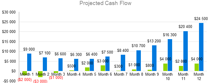 Mobile Application Development Business Plan - Projected Cash Flow