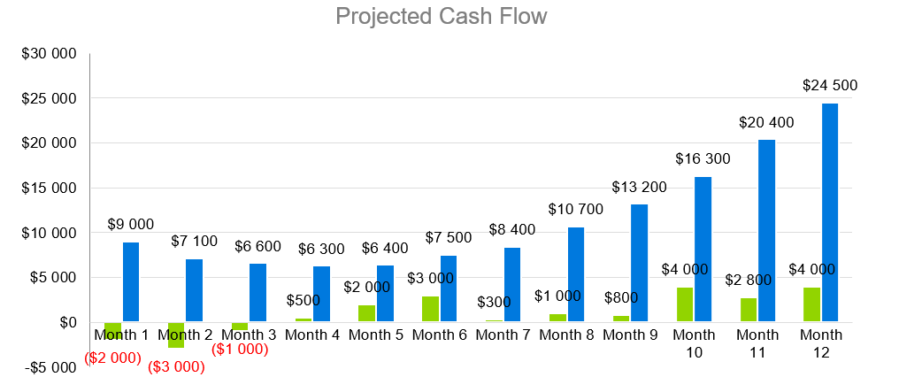 Production Business Plans-Projected Cash Flow