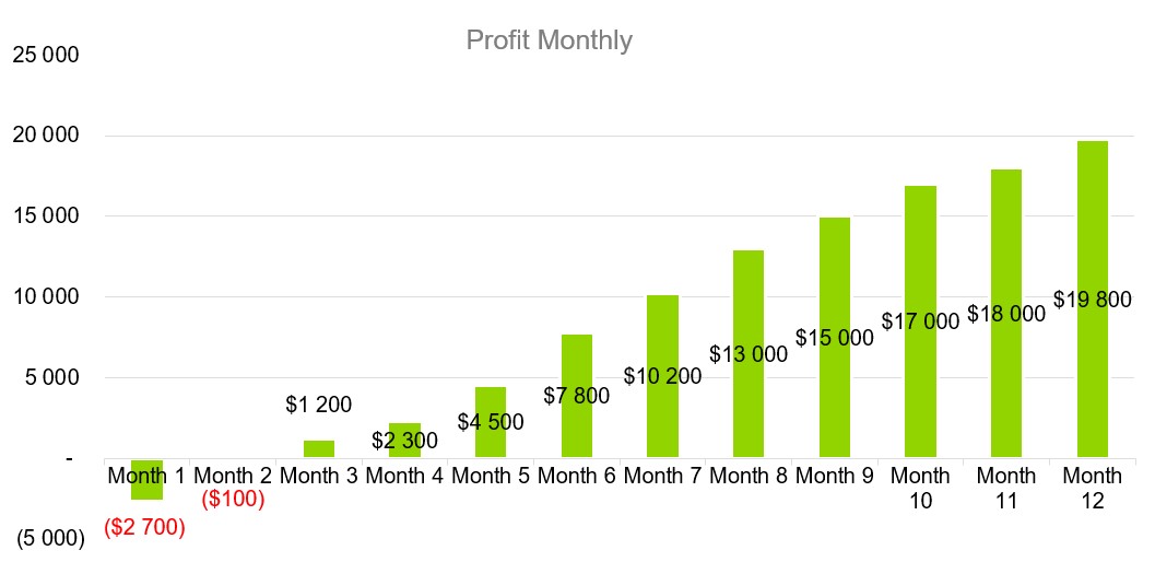 Profit Monthly - B2B Business Plan Template