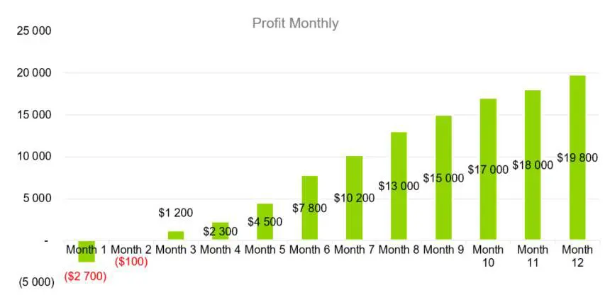 Profit Monthly - Solar Energy Company Business Plan Sample