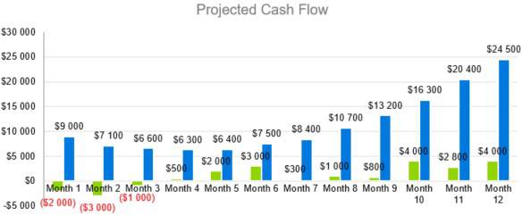 Projected Cash Flow - Digital Marketing Agency Business Plan Template
