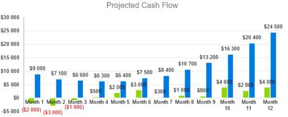 Projected Cash Flow - Digital Marketing Agency Business Plan Template