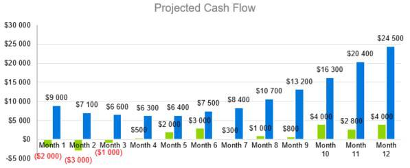 Projected Cash Flow - Photography Business Plan Template
